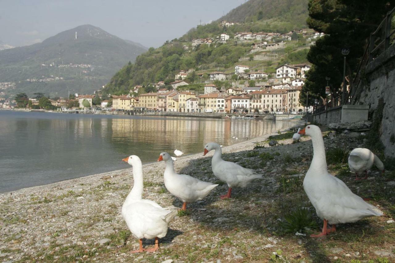 Hotel Bungalows Europa Domaso Dış mekan fotoğraf